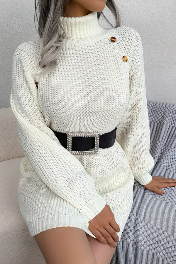 Baby It's You Knit Turtleneck Sweater Dress