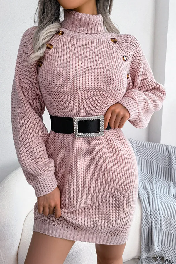 Baby It's You Knit Turtleneck Sweater Dress