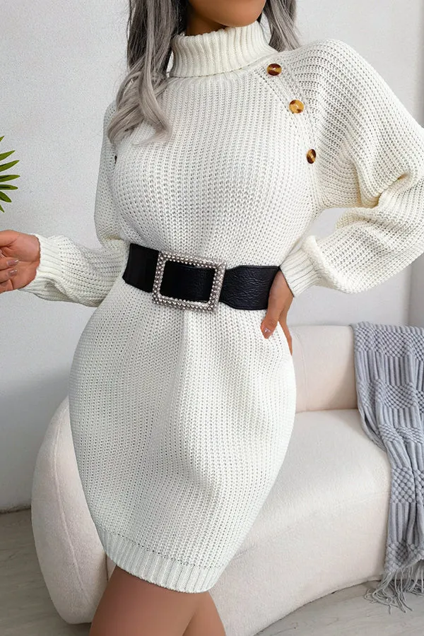 Baby It's You Knit Turtleneck Sweater Dress