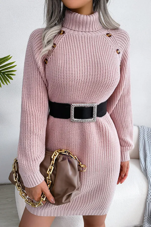 Baby It's You Knit Turtleneck Sweater Dress