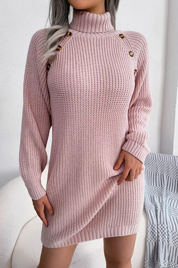 Baby It's You Knit Turtleneck Sweater Dress