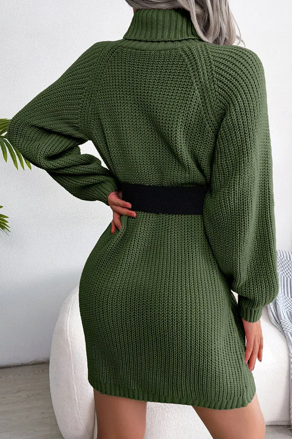 Baby It's You Knit Turtleneck Sweater Dress