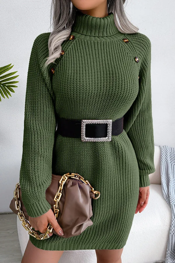 Baby It's You Knit Turtleneck Sweater Dress