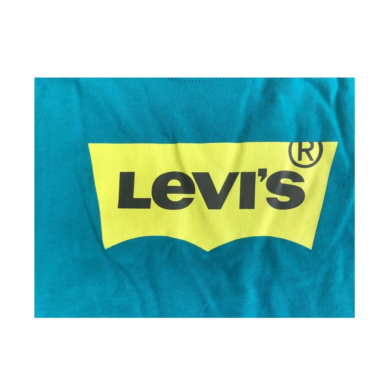 Levi's Kids Batwing boy's long sleeve t-shirt 9E8646 9E8646-B8B turquoise