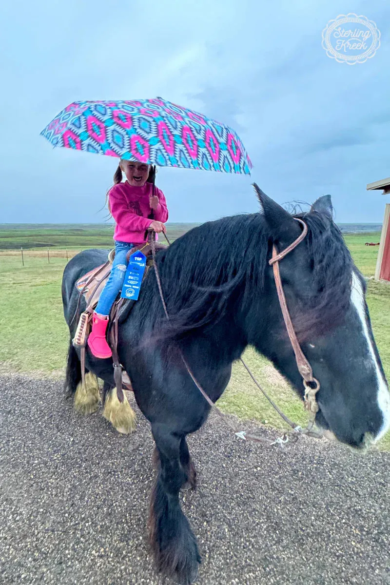 The Montezuma UMBRELLA